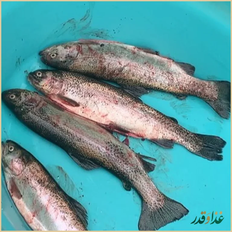 رستوران هانی مطهری