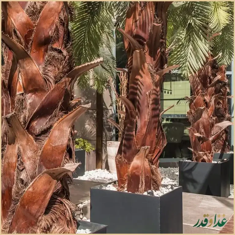 رستوران مریم