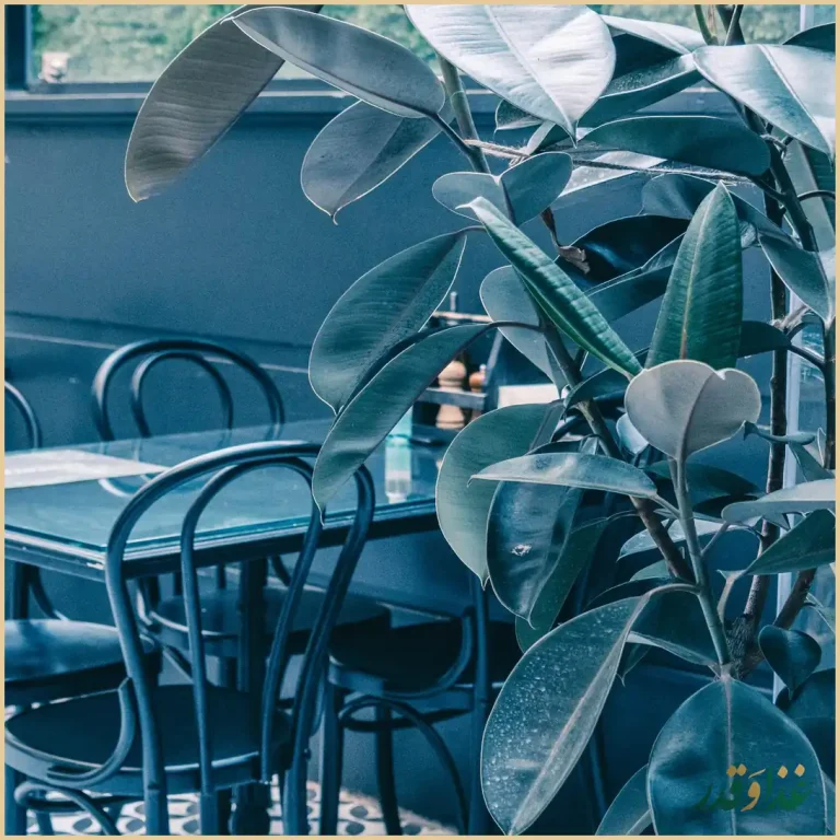 رستوران دالاترا