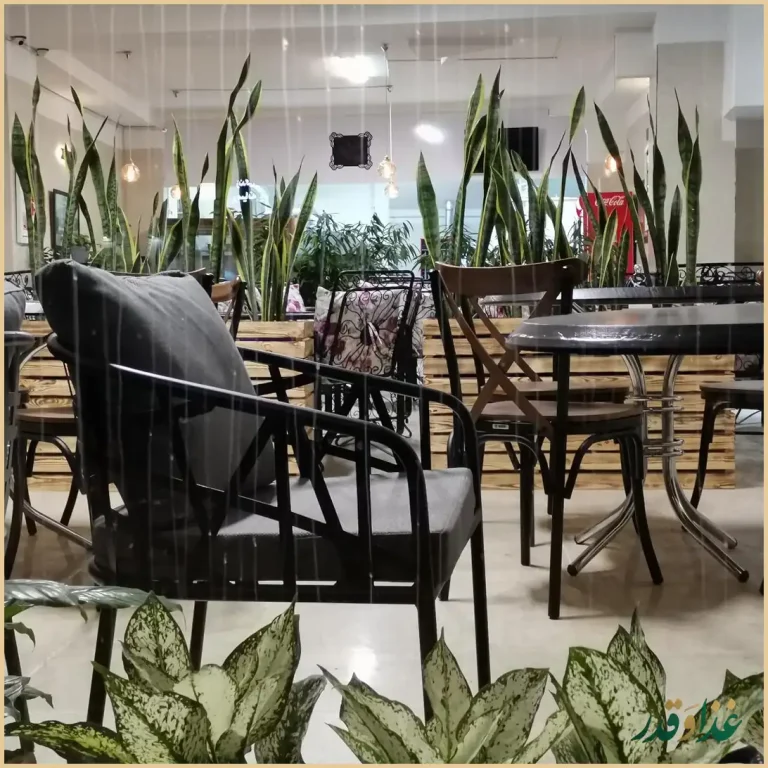 کبابی جیگر میگر