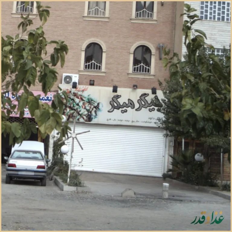 کبابی جیگر میگر