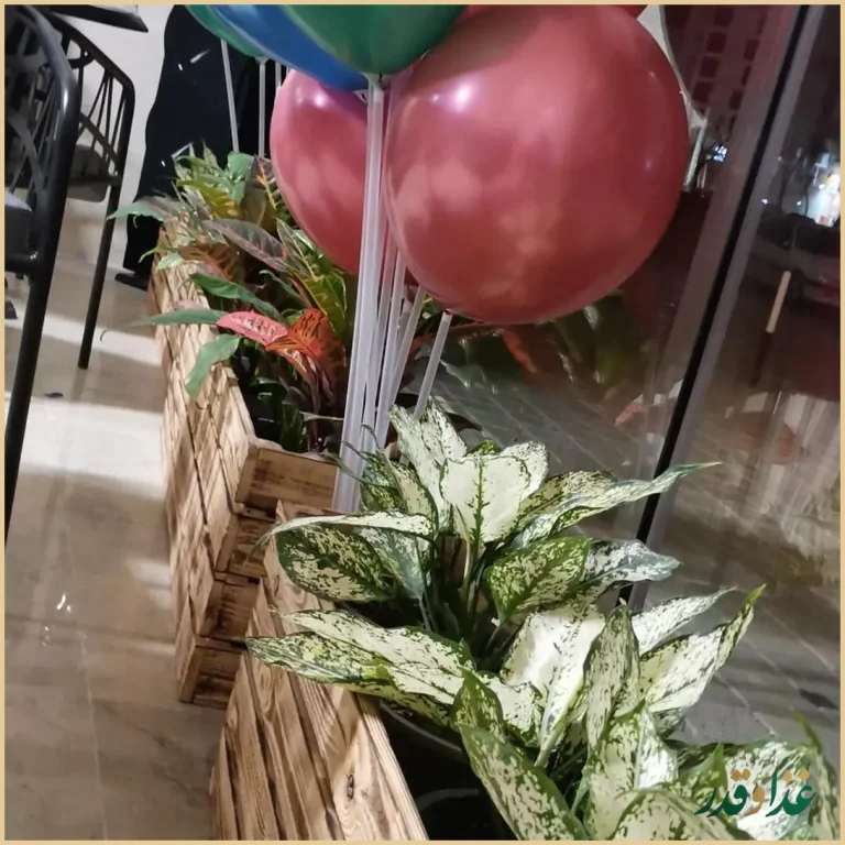 کبابی جیگر میگر