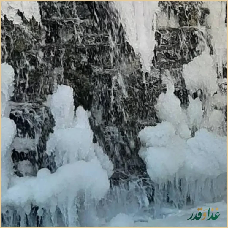 رستوران شاخه نبات