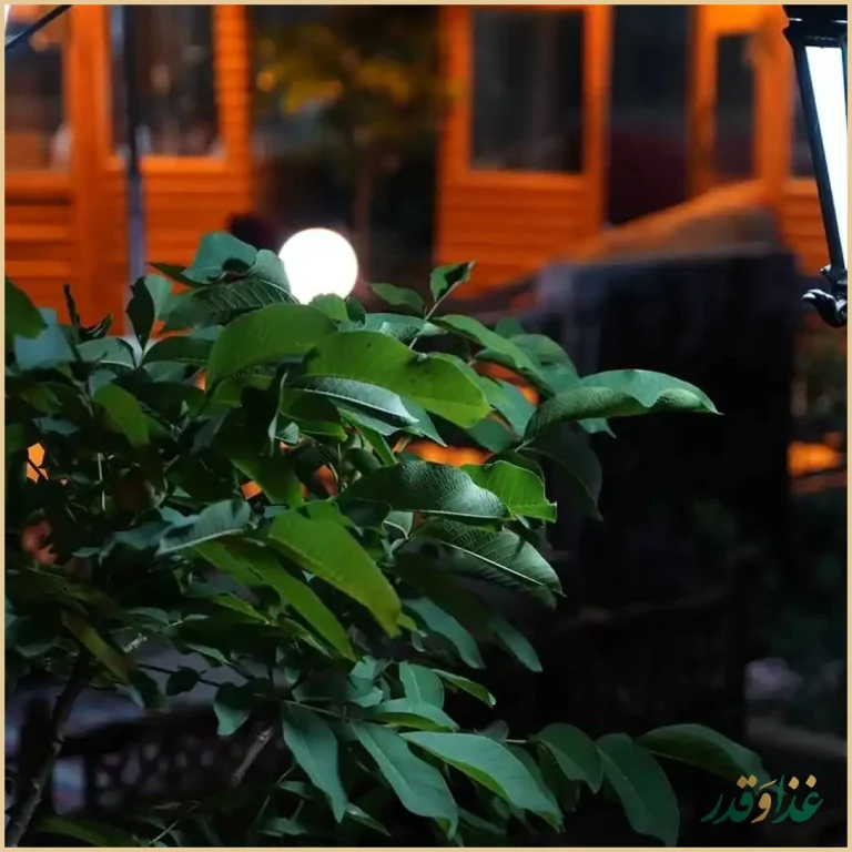 باغ رستوران پالادیس