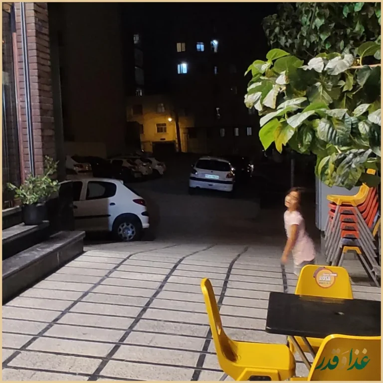 فست فود عطاویچ