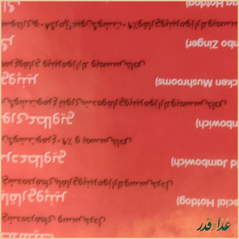 فست فود عطاویچ