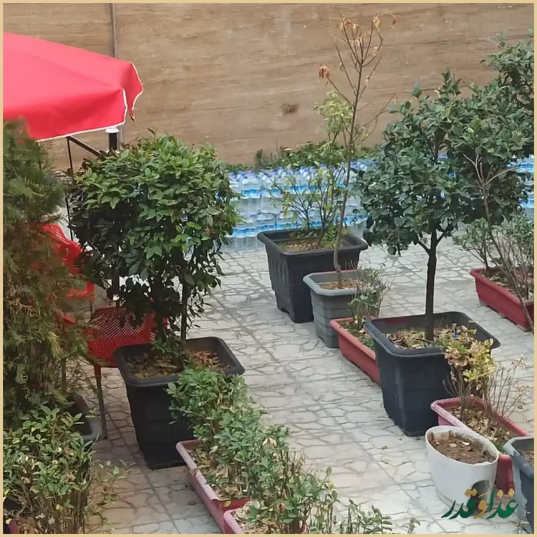 رستوران ایرانی اصل جوان