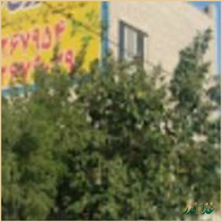 رستوران مهگل