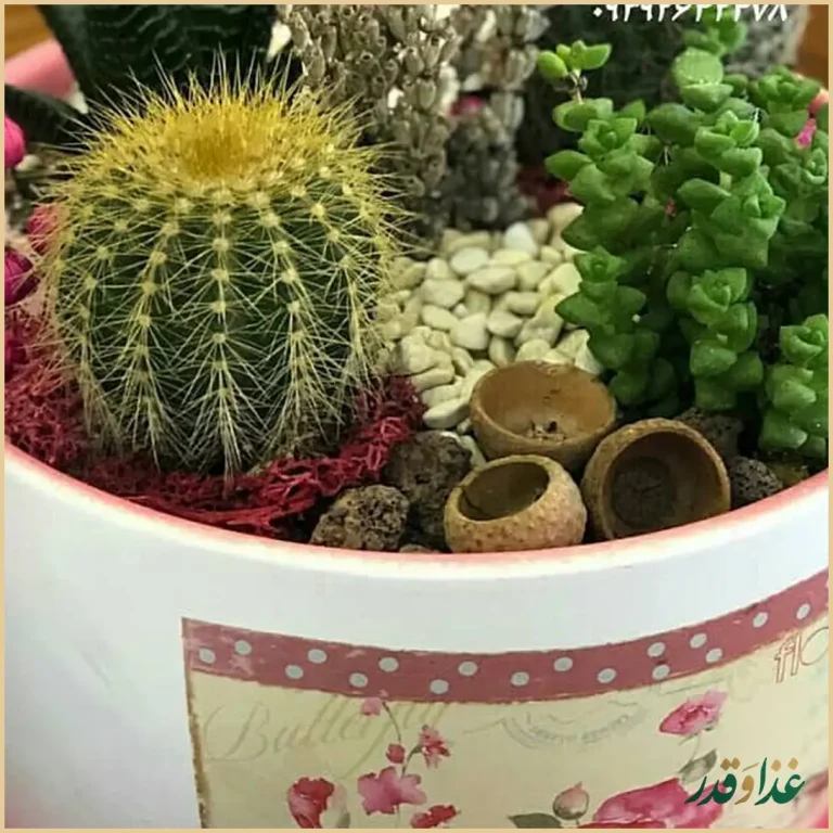 رستوران گل محمدی