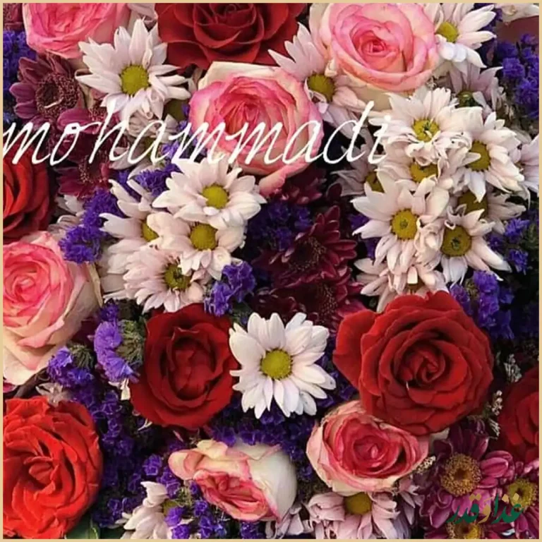 رستوران گل محمدی