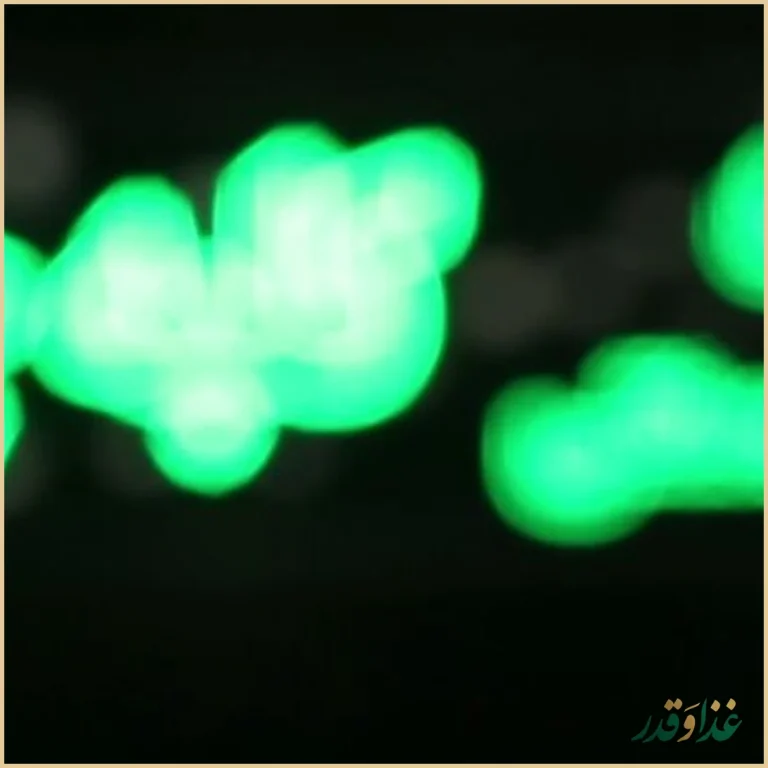 رستوران و سفره خانه کلبه چوبی