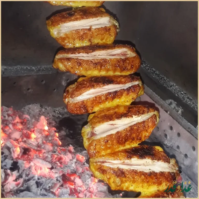 کباب بناب خانواده