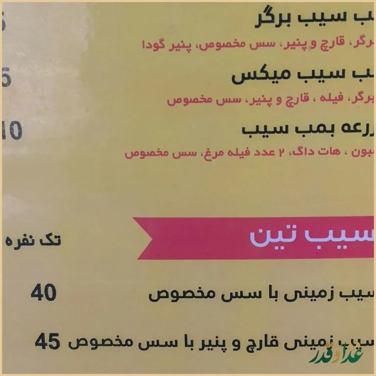 فست فود تین