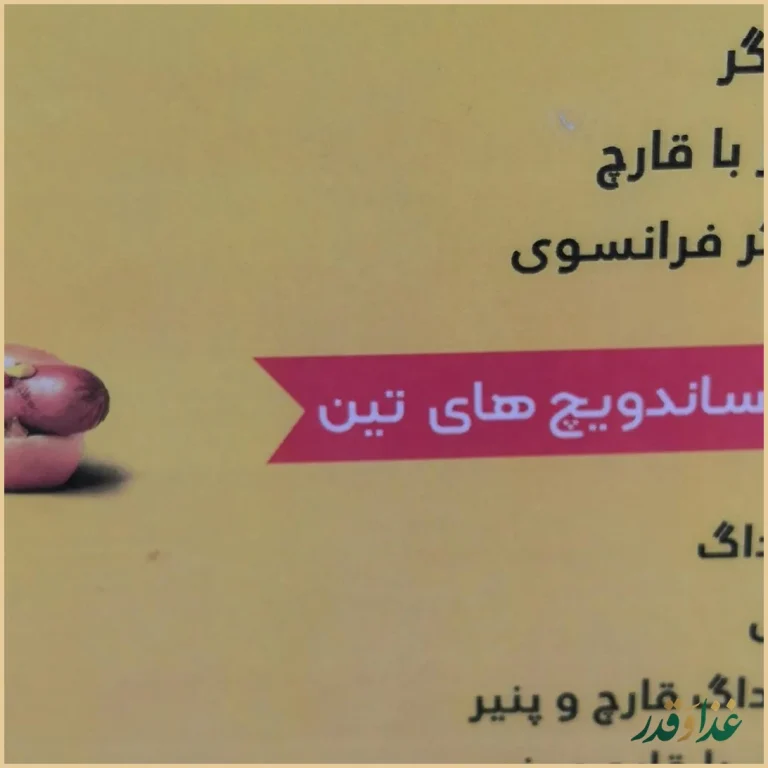 فست فود تین