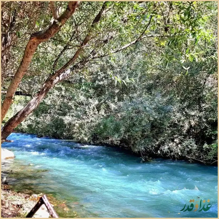 رستوران شب نشین