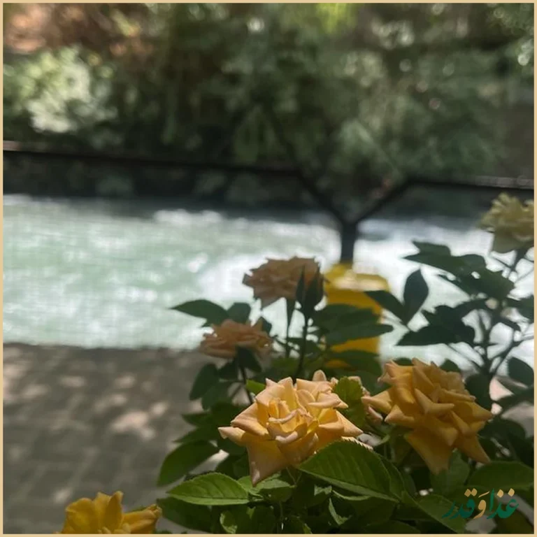 رستوران شب نشین