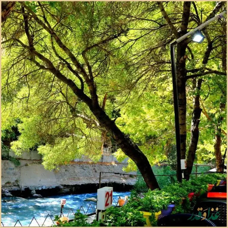 رستوران شب نشین