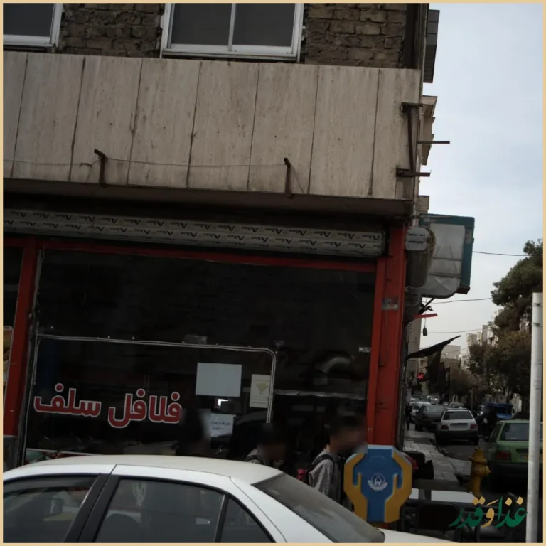 فلافل ابودنیا