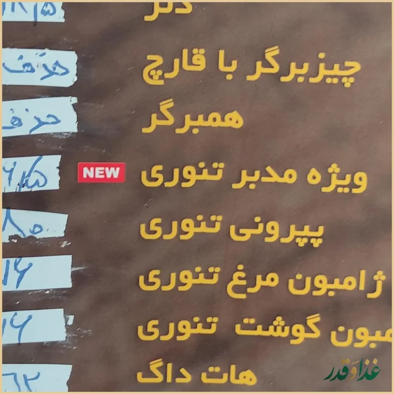 پیتزا مدبر
