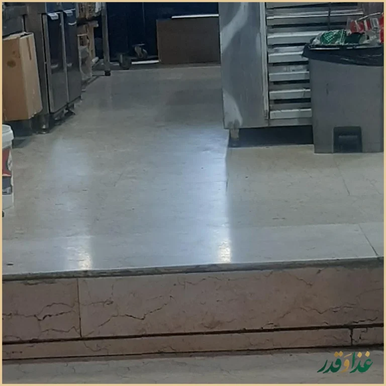 فست فود فونیکس