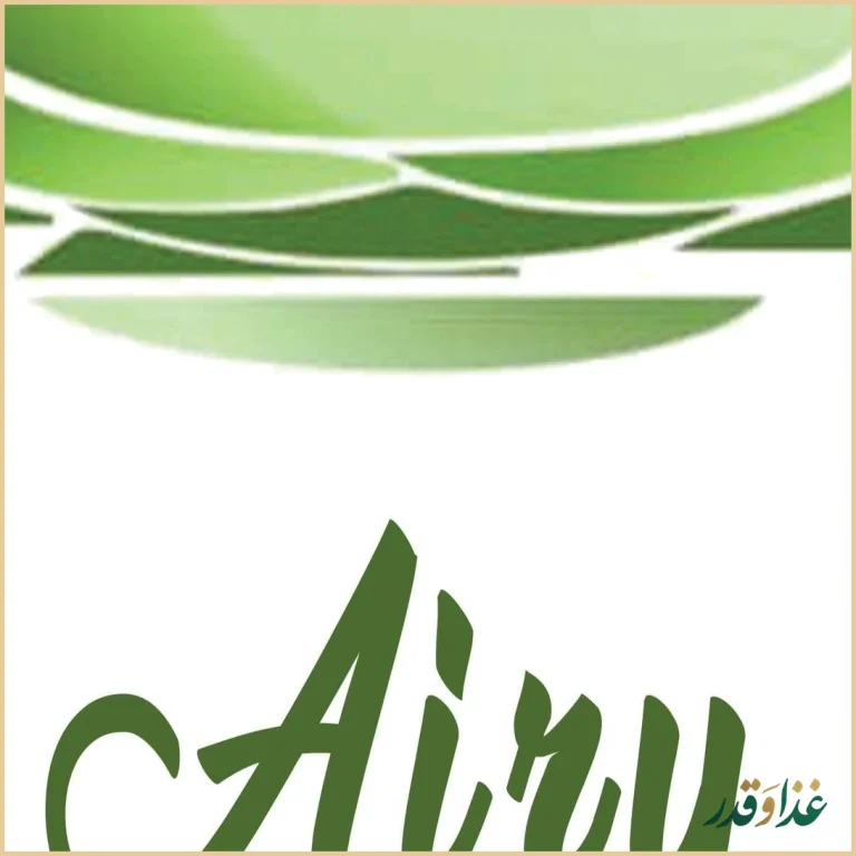 فست فود آیری