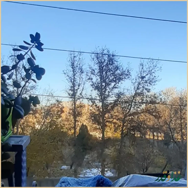 کافه رستوران برکه فردیس