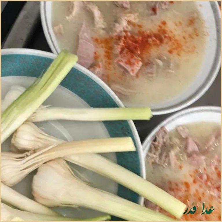 طباخی منوچهر