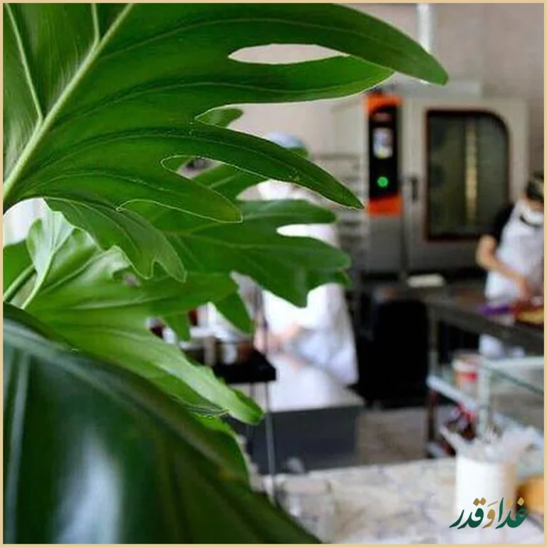 کافه آپ آرت مان