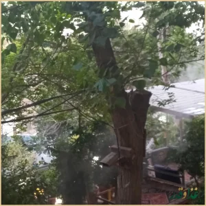 سفره خانه سنتی چهل ستون