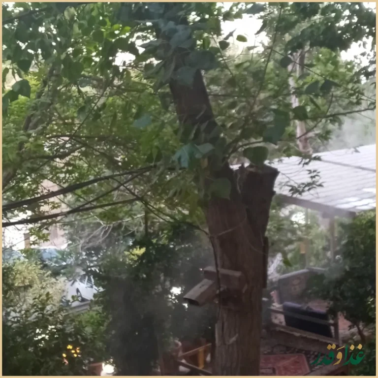 سفره خانه سنتی چهل ستون