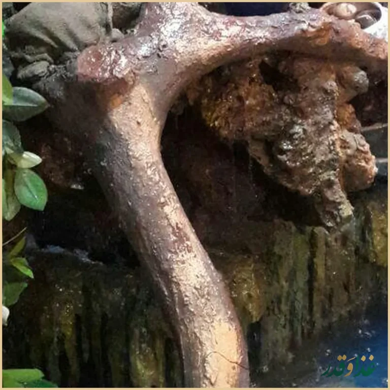 سفره خانه بهارستان