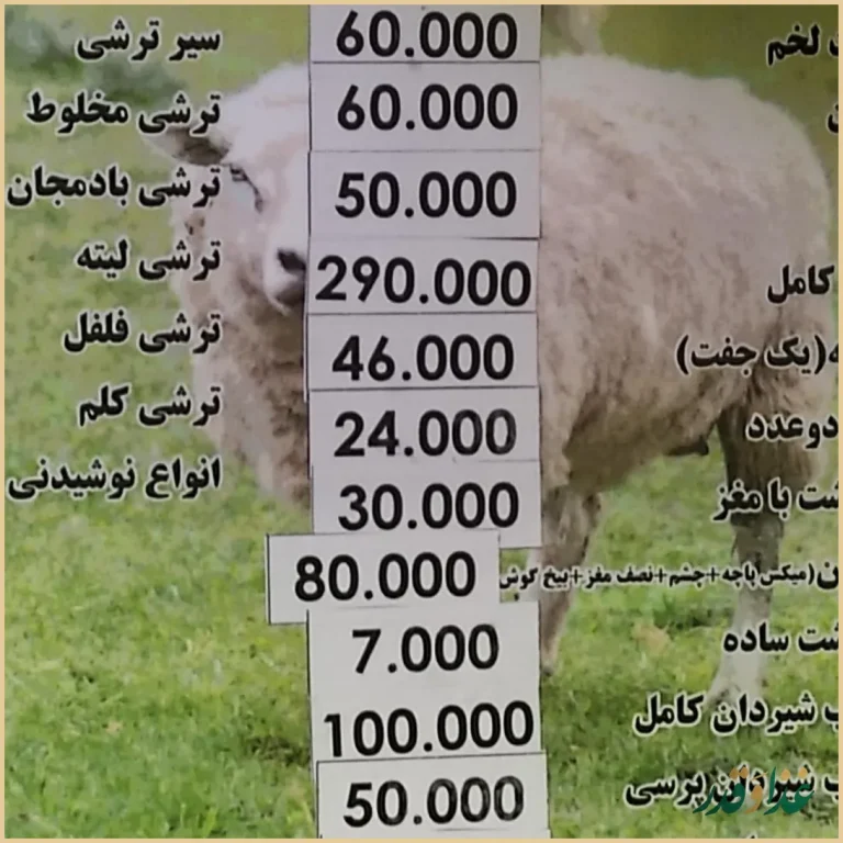 طباخی لاله