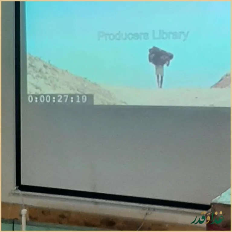 دیزی تیلیتی