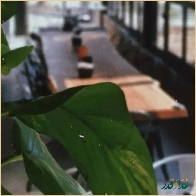 کافه رستوران خانه هنرمندان