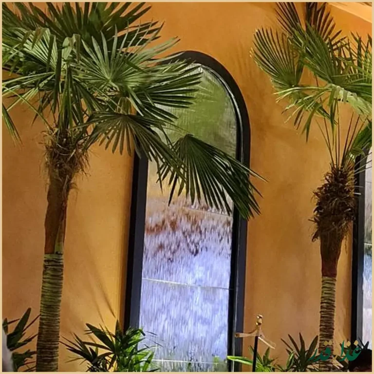 رستوران کارابو