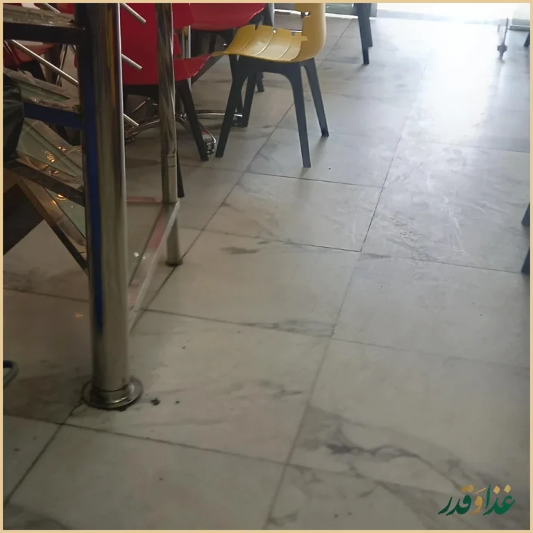 هات داگ خوران ولیعصر