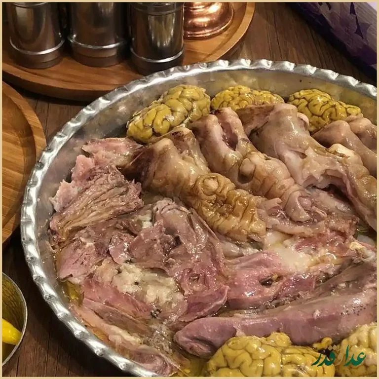 طباخی مرینوس