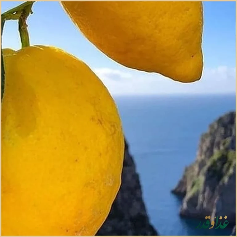 رستوران ایتالیایی بلامونیکا