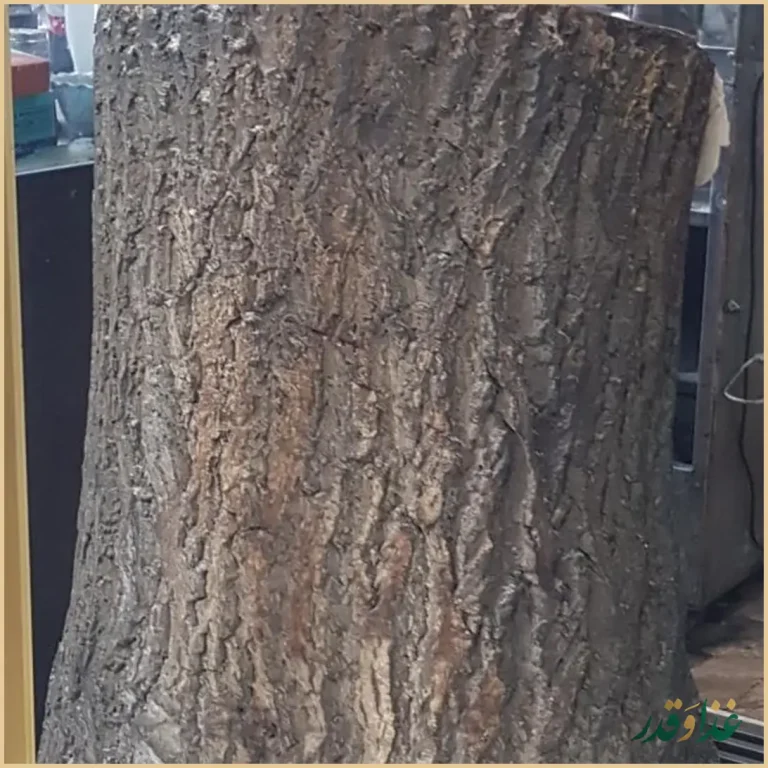 کباب سنتی بناب ساطوری آذربایجان