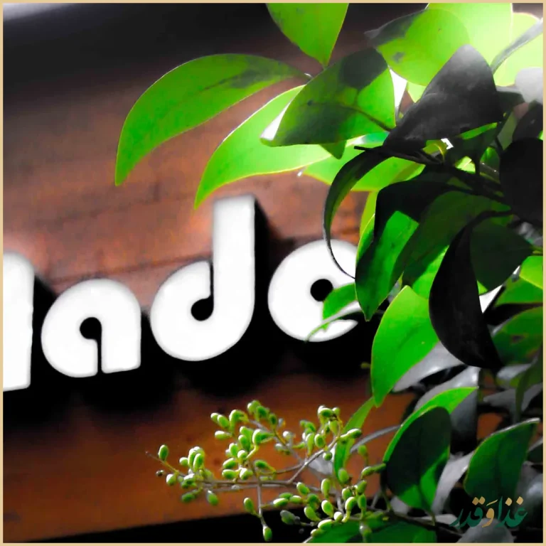 رستوران گیاهی مادولانژ