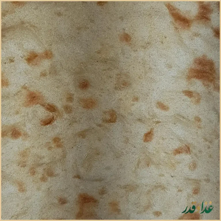 طباخی کوروش بامدیریت جدید