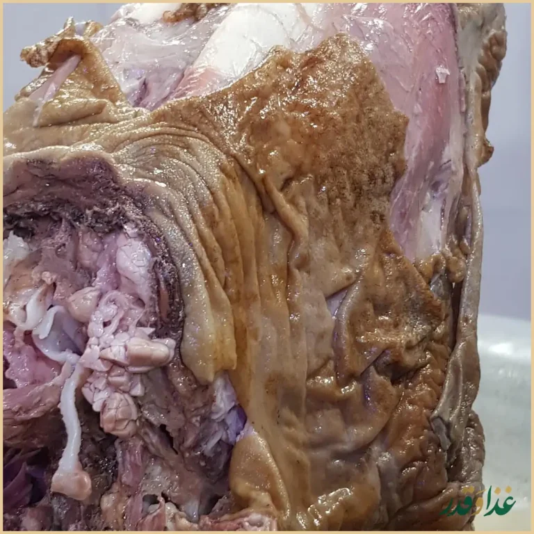 طباخی کوروش بامدیریت جدید