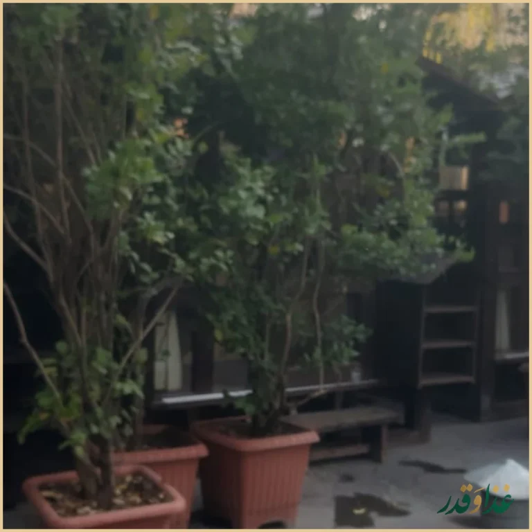 سفره خانه سنتی سپیدار