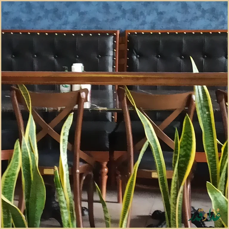 فست فود گزینگ برگر