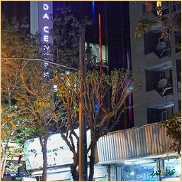 چلوکباب رفتاری