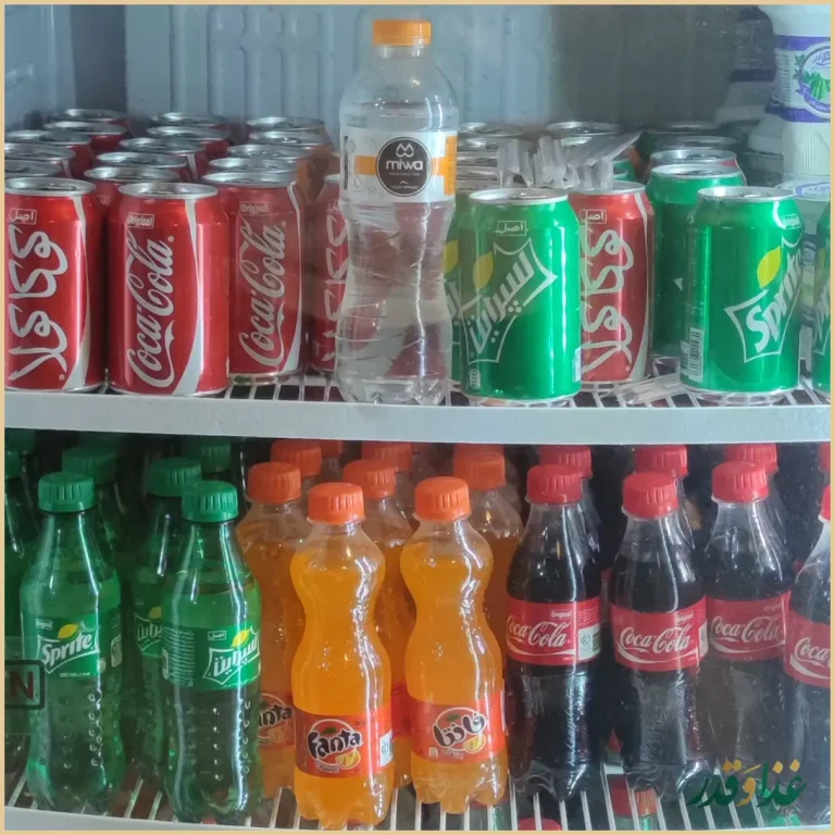 فست فود ریبار