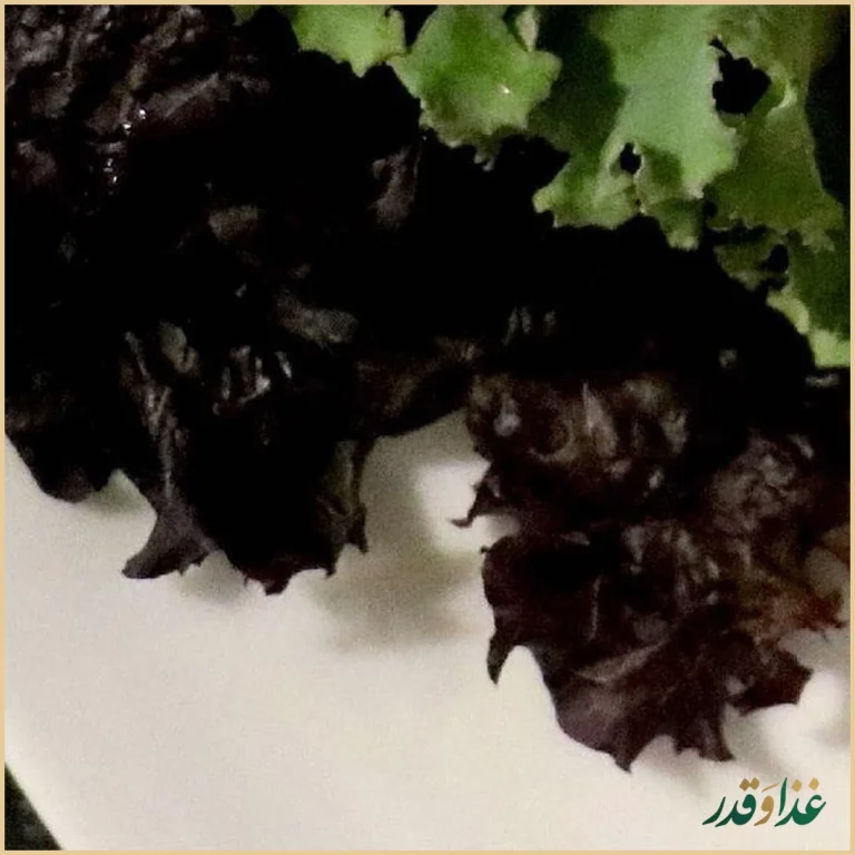 باغ رستوران مراکشی حریرا