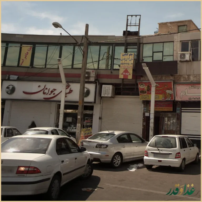 طباخی جوانان