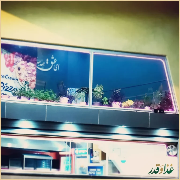 پیتزا ساندویچ هات