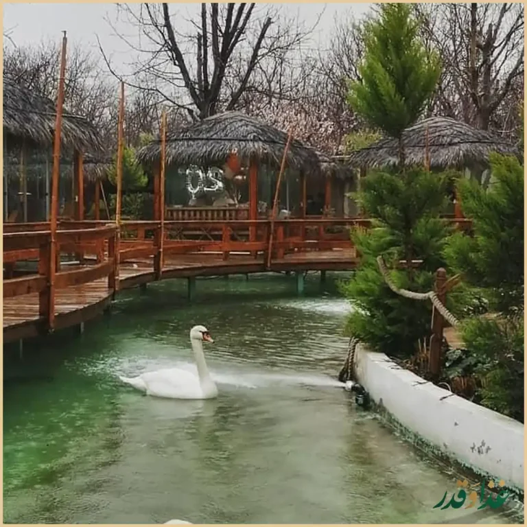 کافه رستوران قو سفید